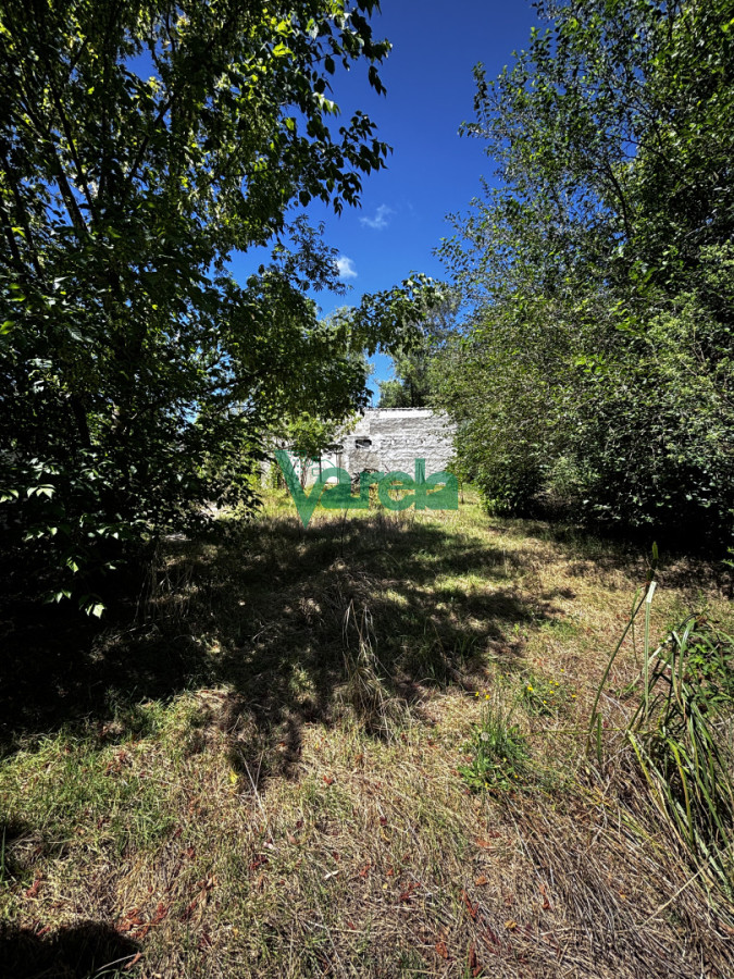Terreno en El Pinar, propiedad 249435 -Imagen 2