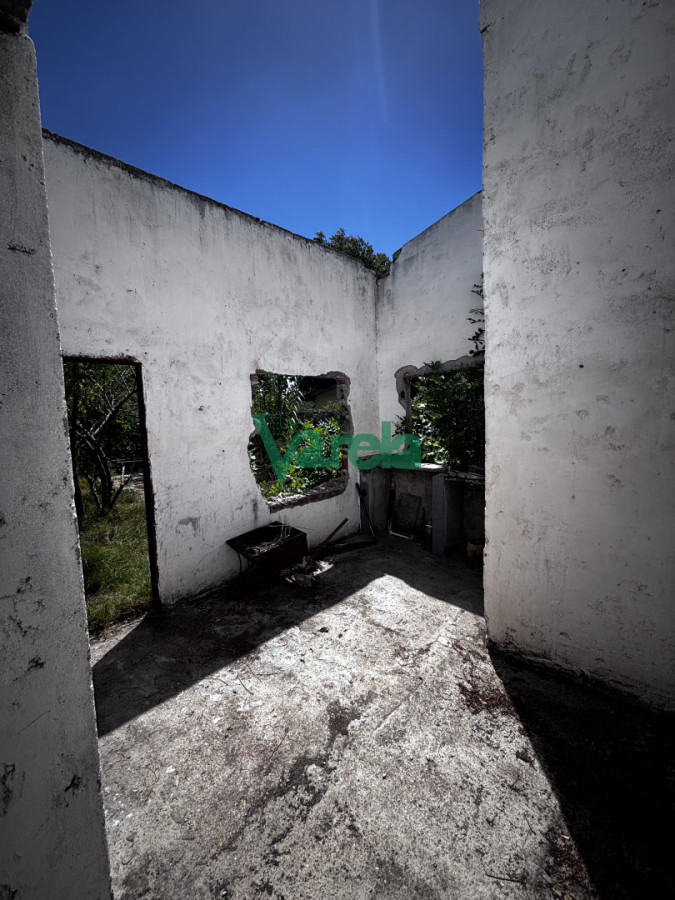 Terreno en El Pinar, propiedad 249435 -Imagen 8