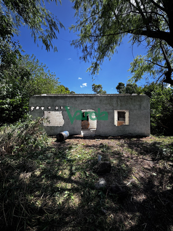 Terreno en El Pinar, propiedad 249435 -Imagen 6