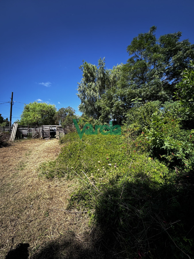 Terreno en El Pinar, propiedad 249435 -Imagen 14