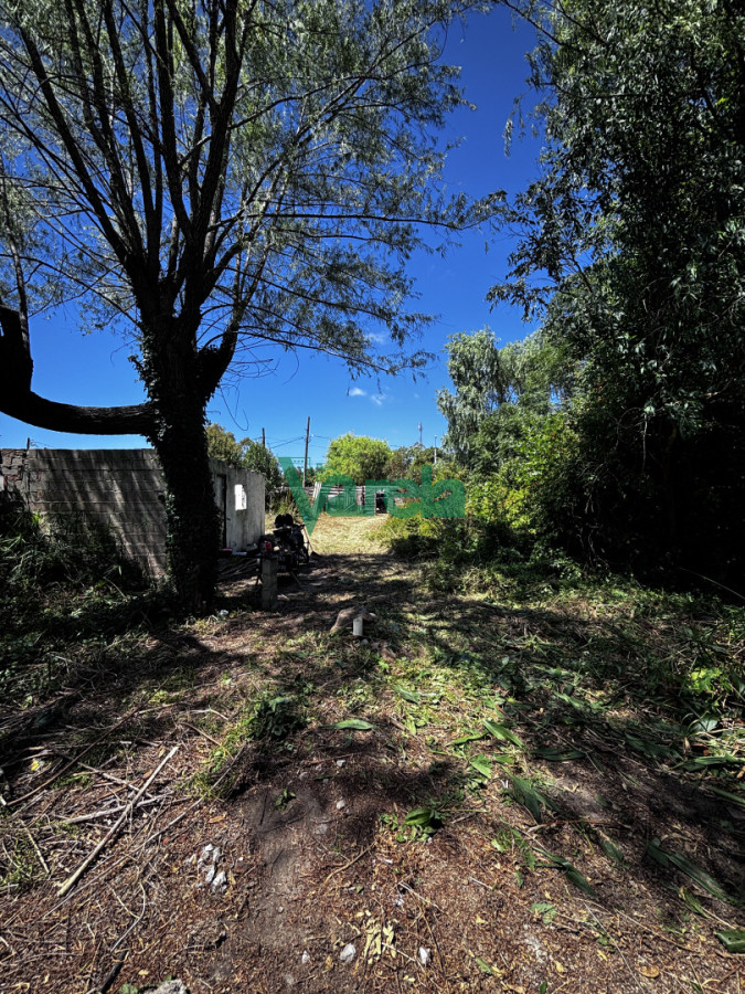 Terreno en El Pinar, propiedad 249435 -Imagen 12