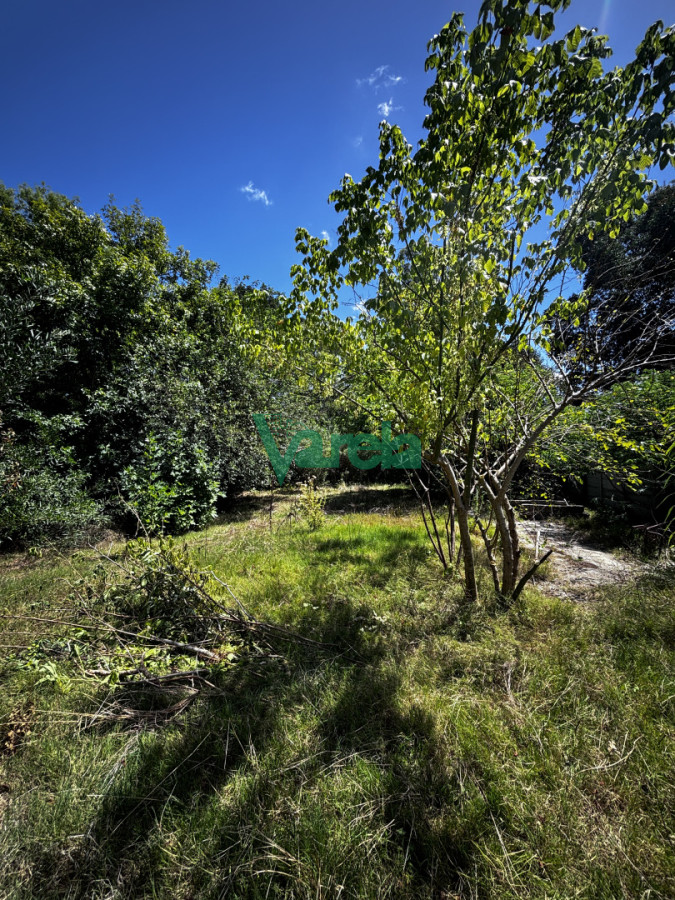 Terreno en El Pinar, propiedad 249435 -Imagen 13