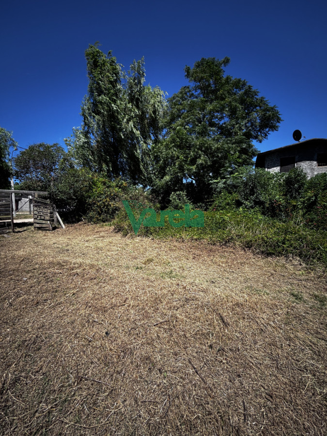 Terreno en El Pinar, propiedad 249435 -Imagen 15