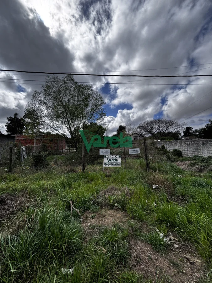 Terreno en El Pinar, propiedad 296212 -Imagen 1
