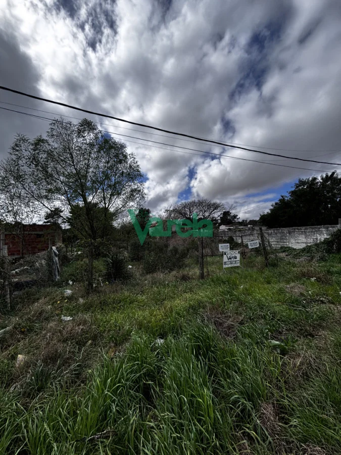 Terreno en El Pinar, propiedad 296212 -Imagen 3