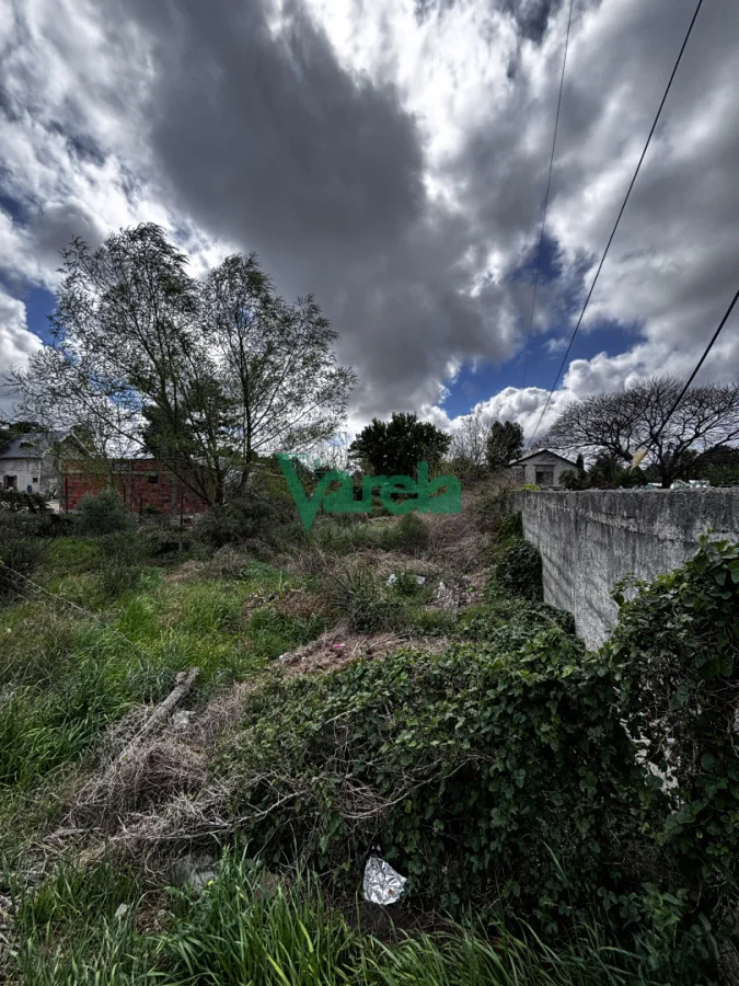 Terreno en El Pinar, propiedad 296212 -Imagen 4