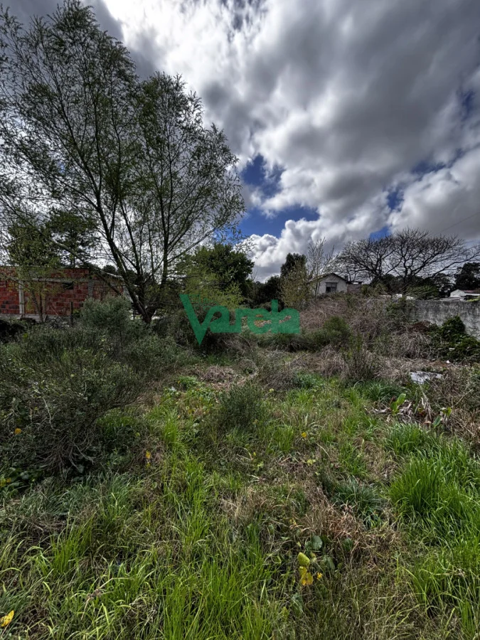 Terreno en El Pinar, propiedad 296212 -Imagen 5