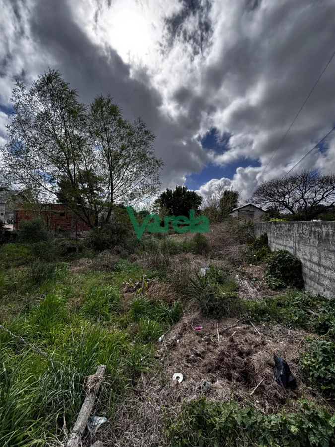 Terreno en El Pinar, propiedad 296212 -Imagen 6
