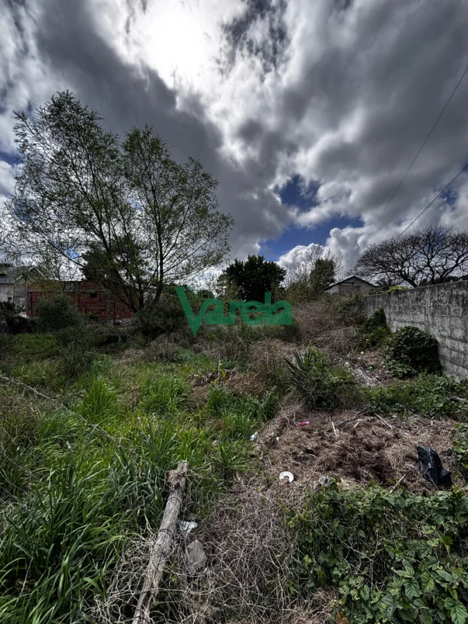 Terreno en El Pinar, propiedad 296212 -Imagen 7