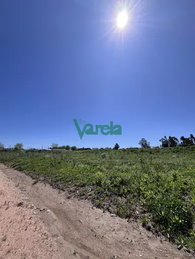 imagen  de la propiedad 216319