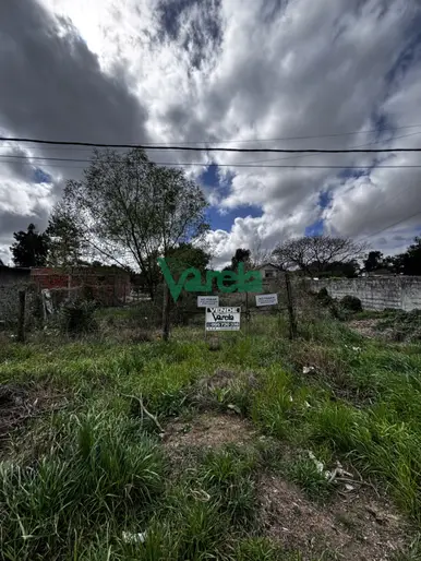 imagen  de la propiedad 296212