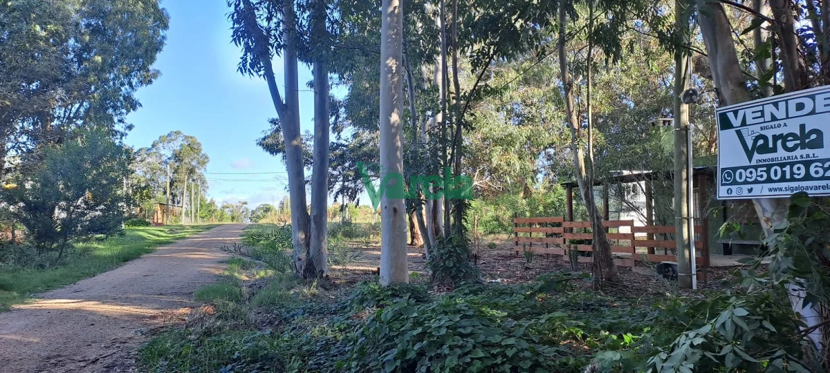 Terreno en Santa Ana , propiedad 203752 -Imagen 2