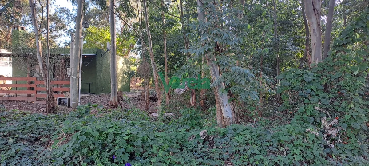 Terreno en Santa Ana , propiedad 203752 -Imagen 5