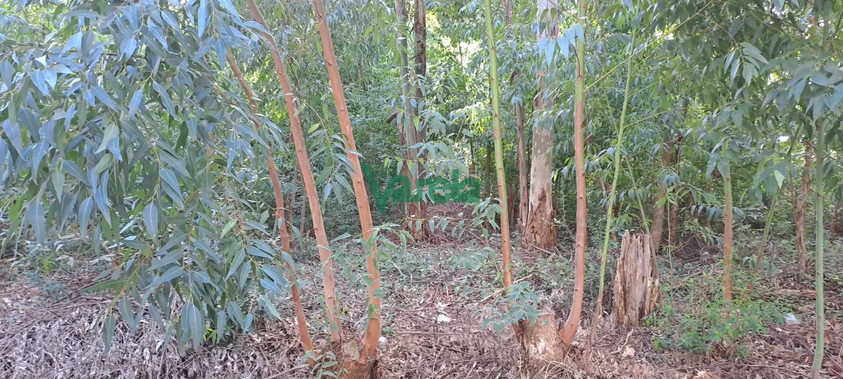 Terreno en Santa Ana , propiedad 203752 -Imagen 7