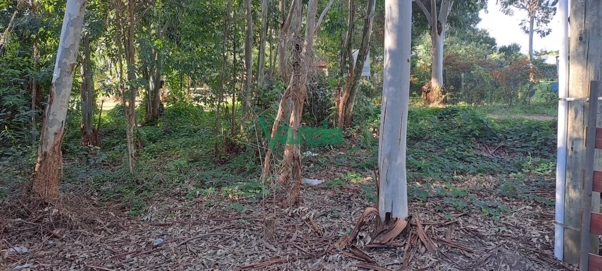 Terreno en Santa Ana , propiedad 203752 -Imagen 8