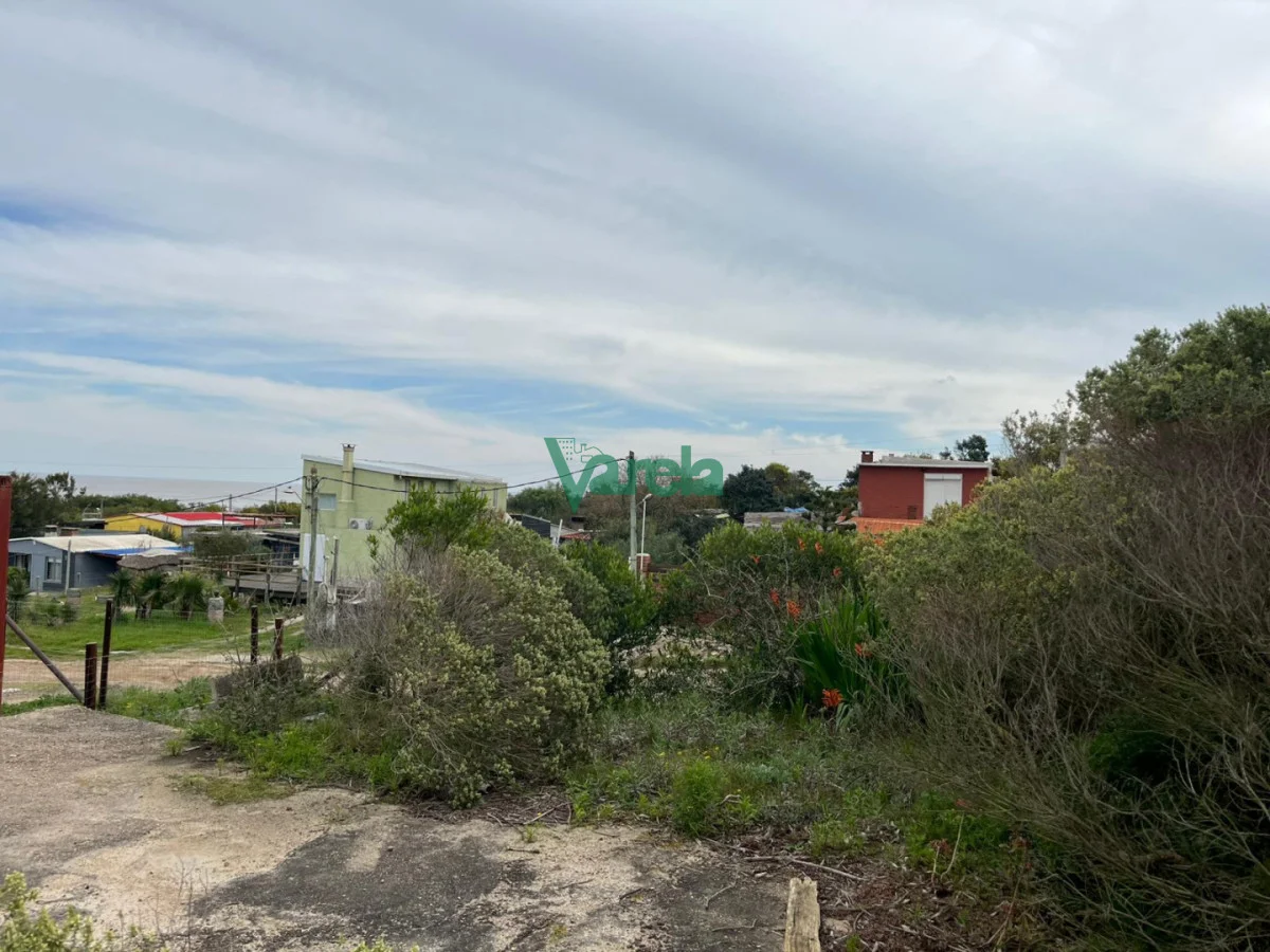 Terreno en San Luis, propiedad 292114 -Imagen 2