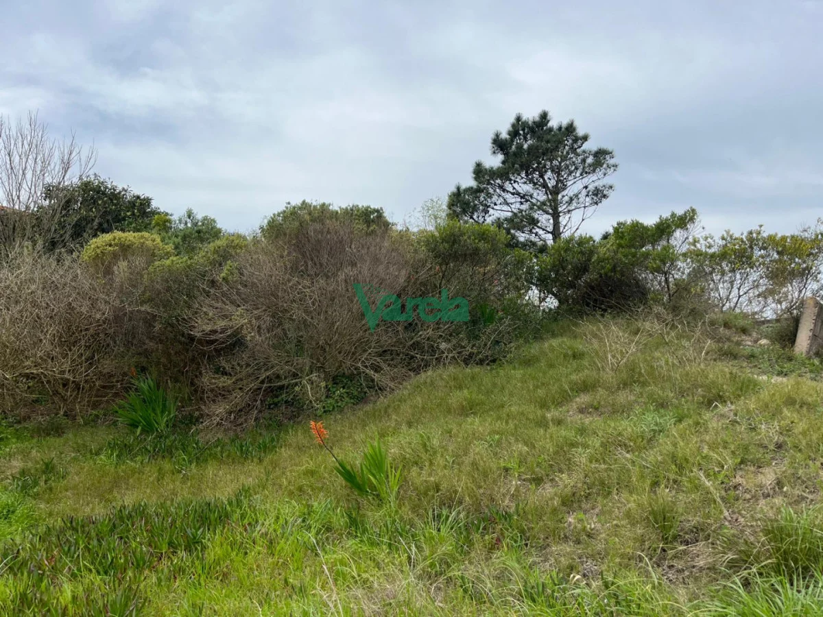Terreno en San Luis, propiedad 292114 -Imagen 3