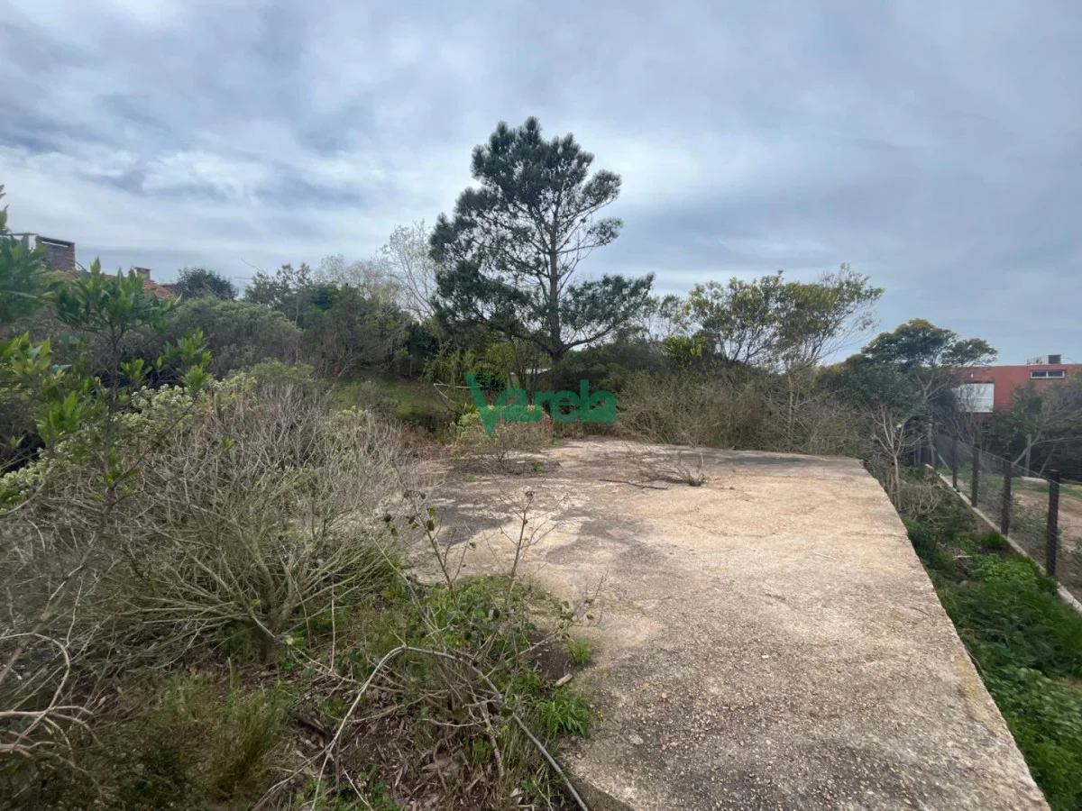 Terreno en San Luis, propiedad 292114 -Imagen 4