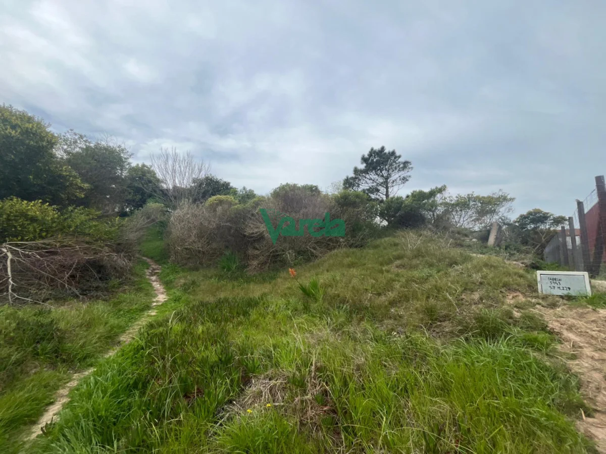 Terreno en San Luis, propiedad 292114 -Imagen 5