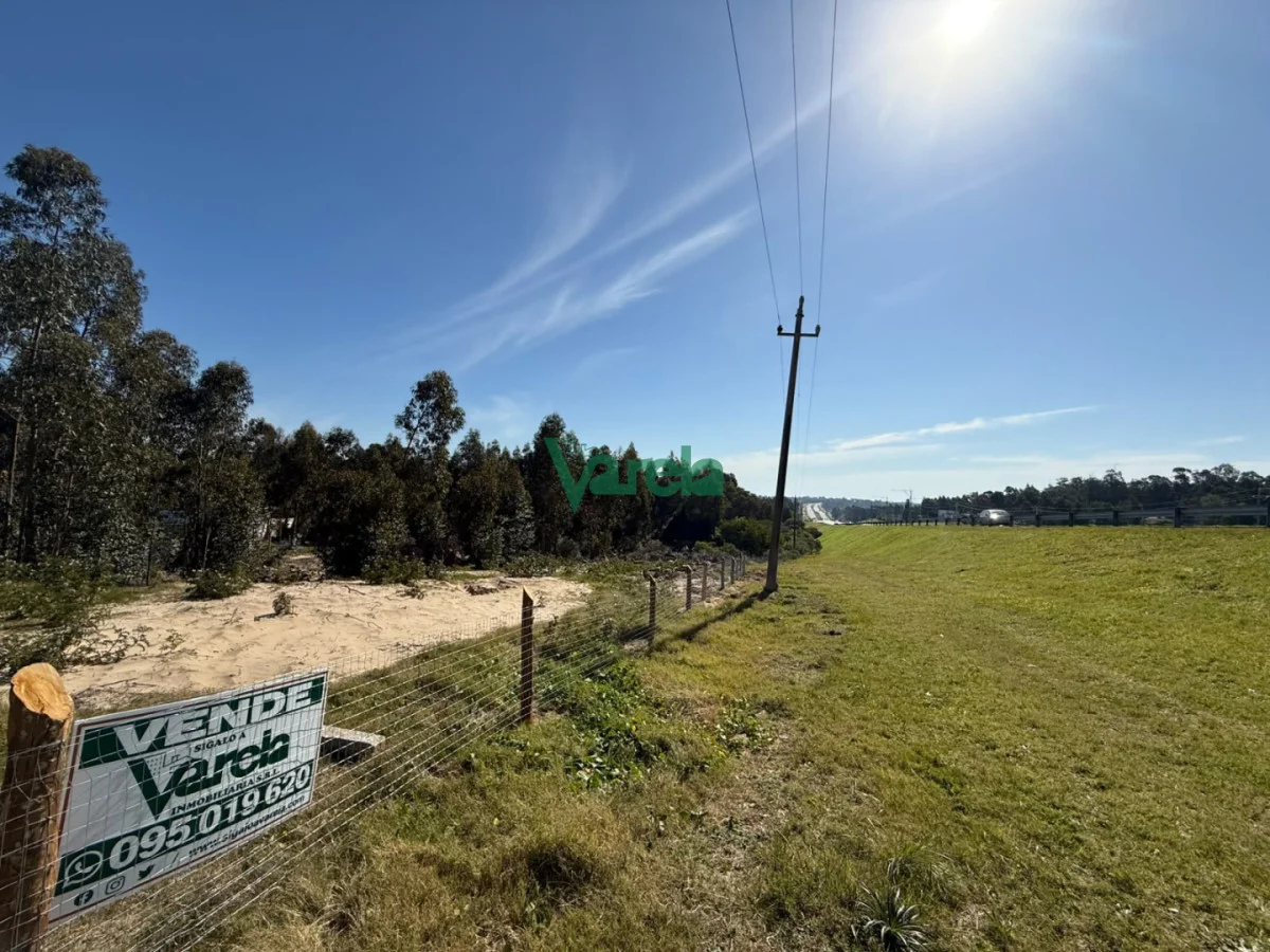Terreno en Araminda, propiedad 297587 -Imagen 1