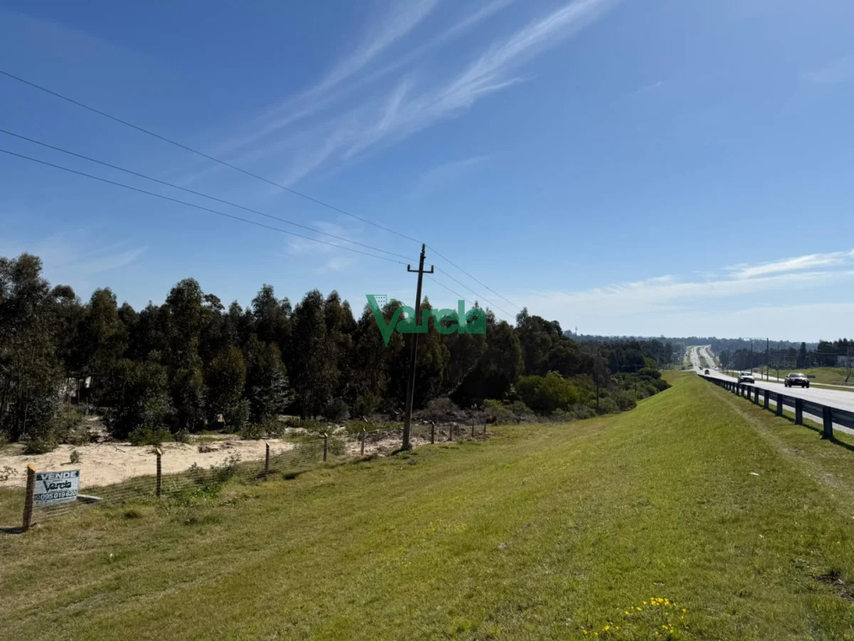 Terreno en Araminda, propiedad 297587 -Imagen 2