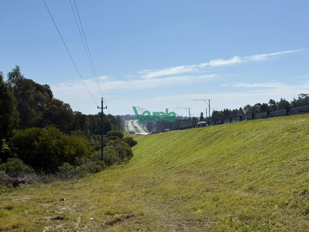 Terreno en Araminda, propiedad 297587 -Imagen 3
