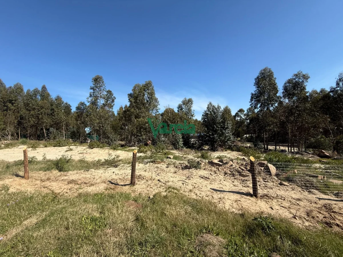Terreno en Araminda, propiedad 297587 -Imagen 4