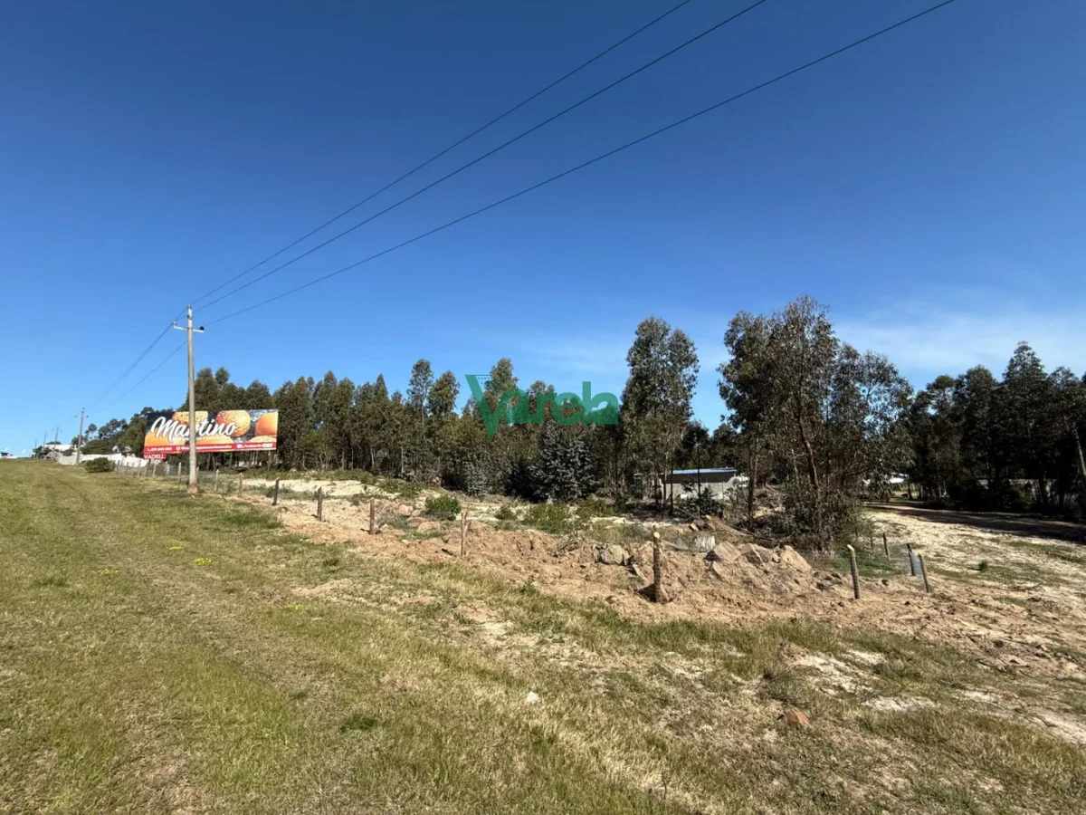 Terreno en Araminda, propiedad 297587 -Imagen 5
