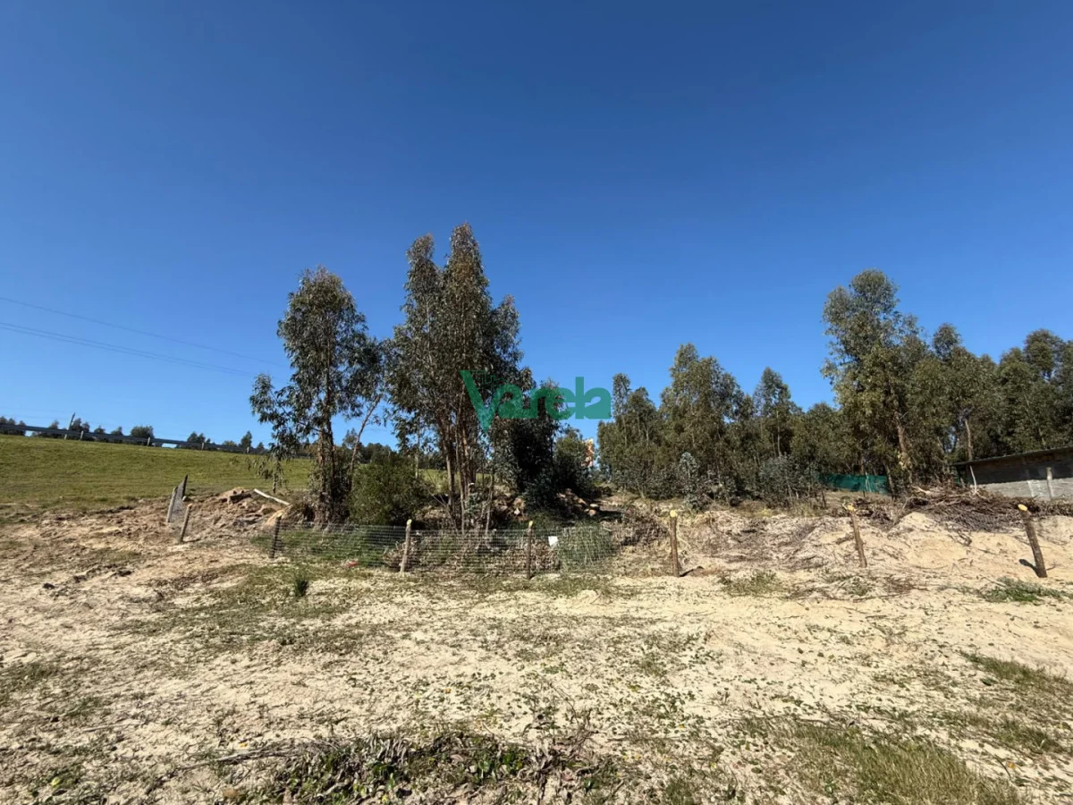 Terreno en Araminda, propiedad 297587 -Imagen 6