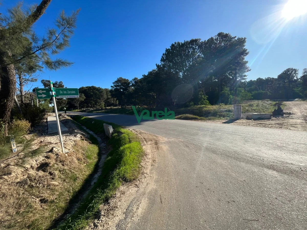 Terreno en Montes, propiedad 203832 -Imagen 2