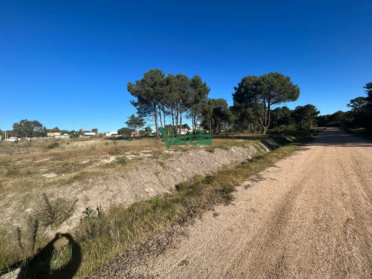 Terreno en Montes, propiedad 203832 -Imagen 11
