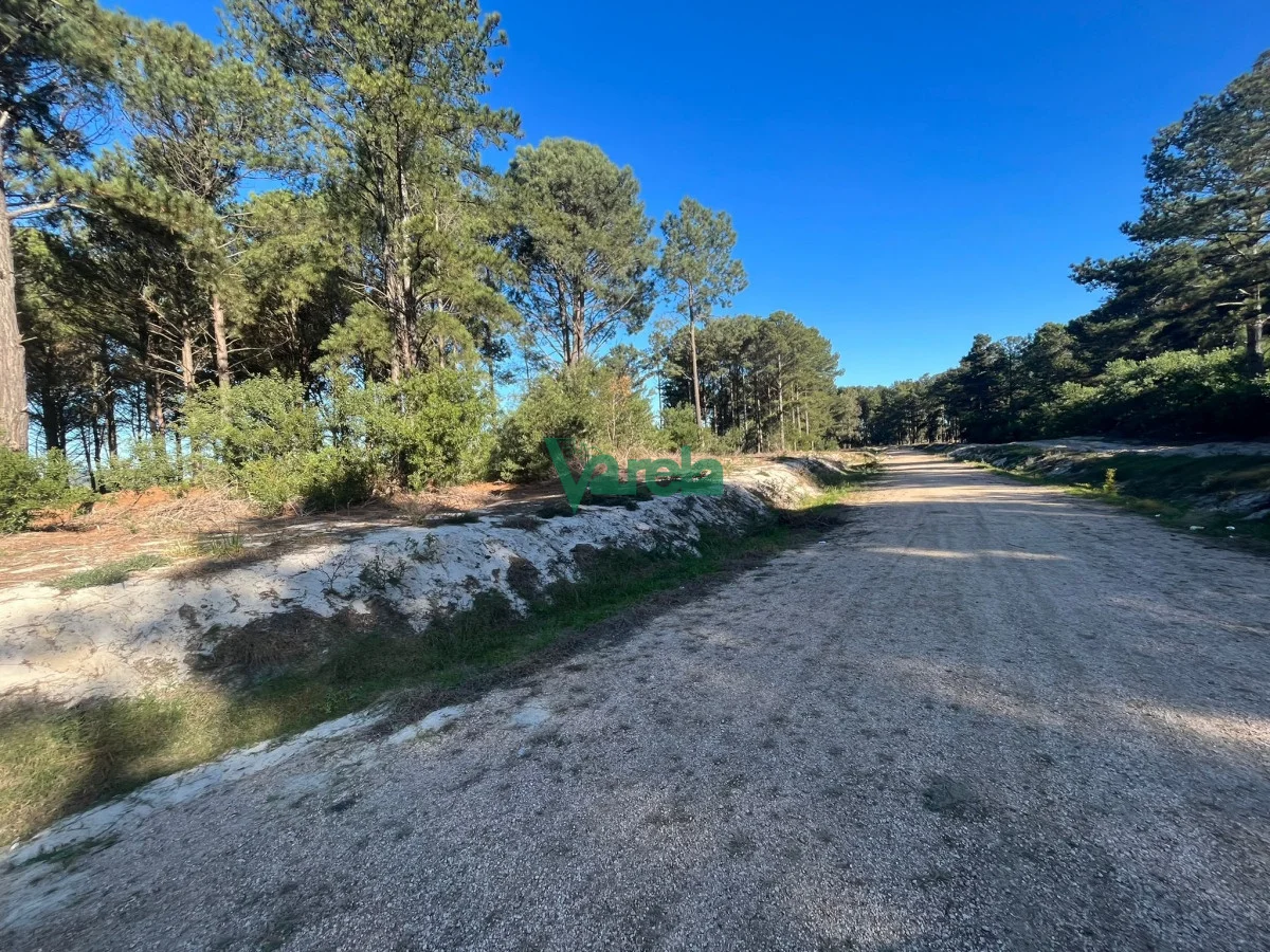 Terreno en Montes, propiedad 203832 -Imagen 3