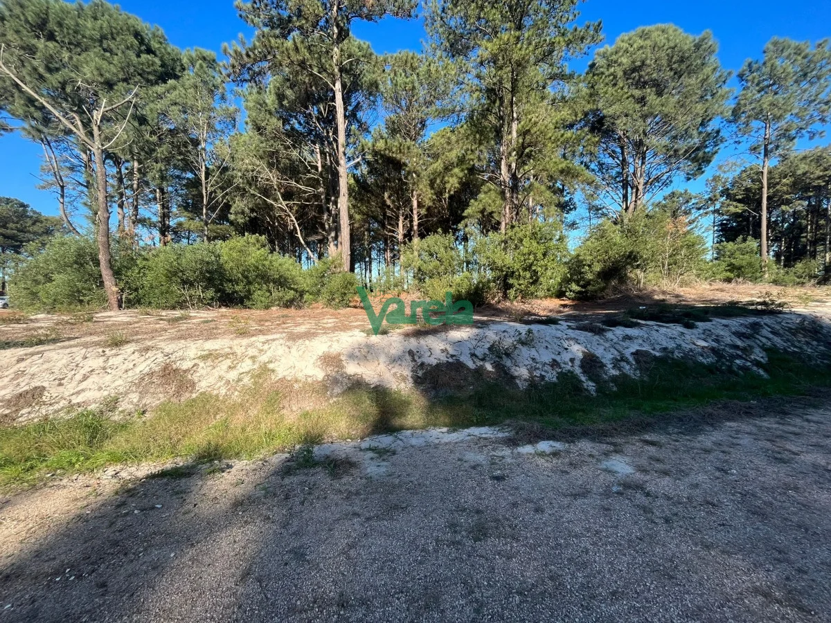 Terreno en Montes, propiedad 203832 -Imagen 4