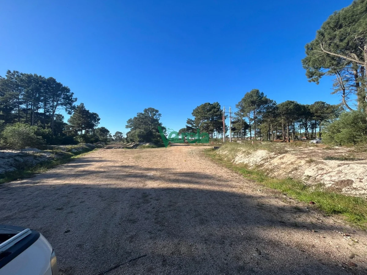 Terreno en Montes, propiedad 203832 -Imagen 5