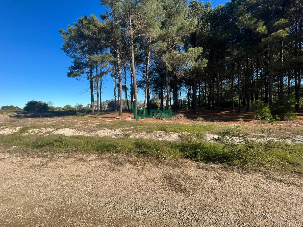 Terreno en Montes, propiedad 203832 -Imagen 6