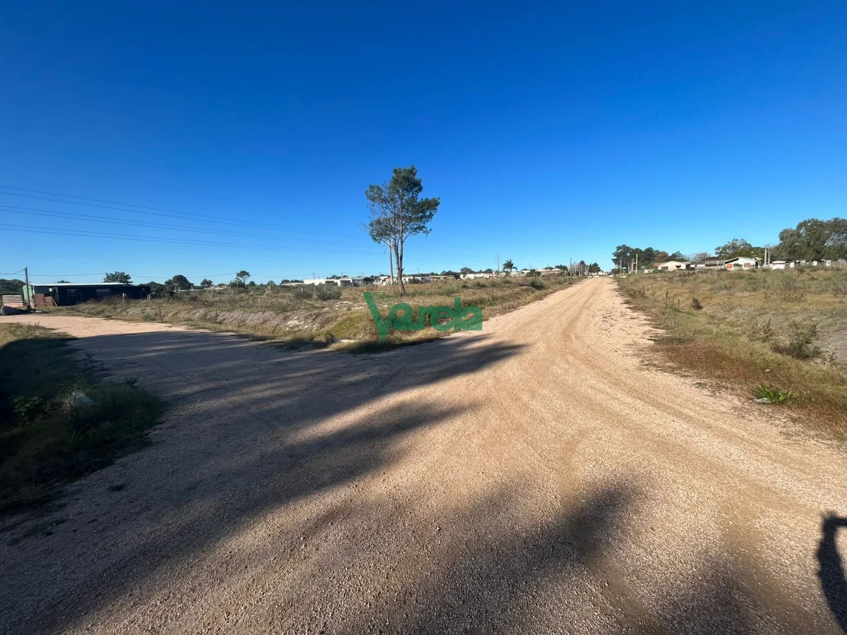 Terreno en Montes, propiedad 203832 -Imagen 8