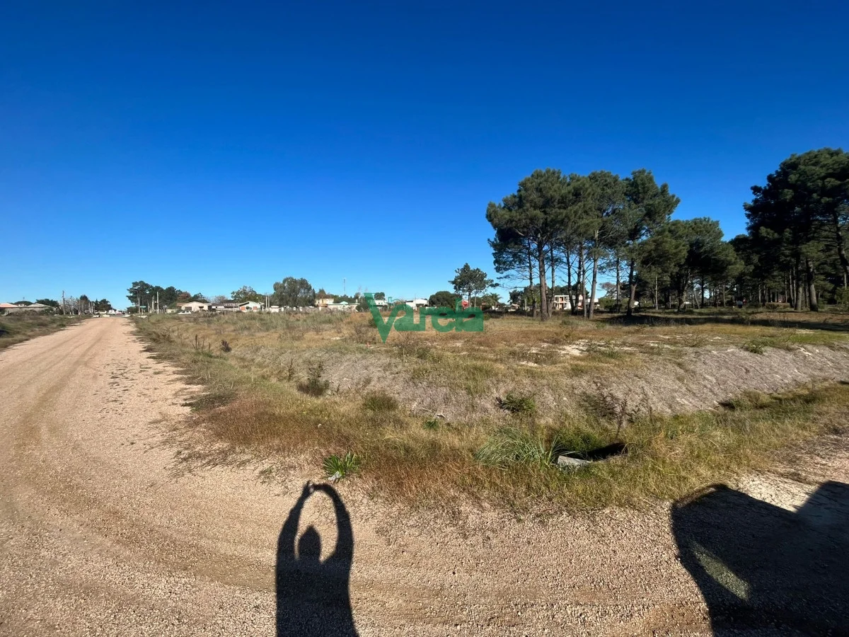 Terreno en Montes, propiedad 203832 -Imagen 9