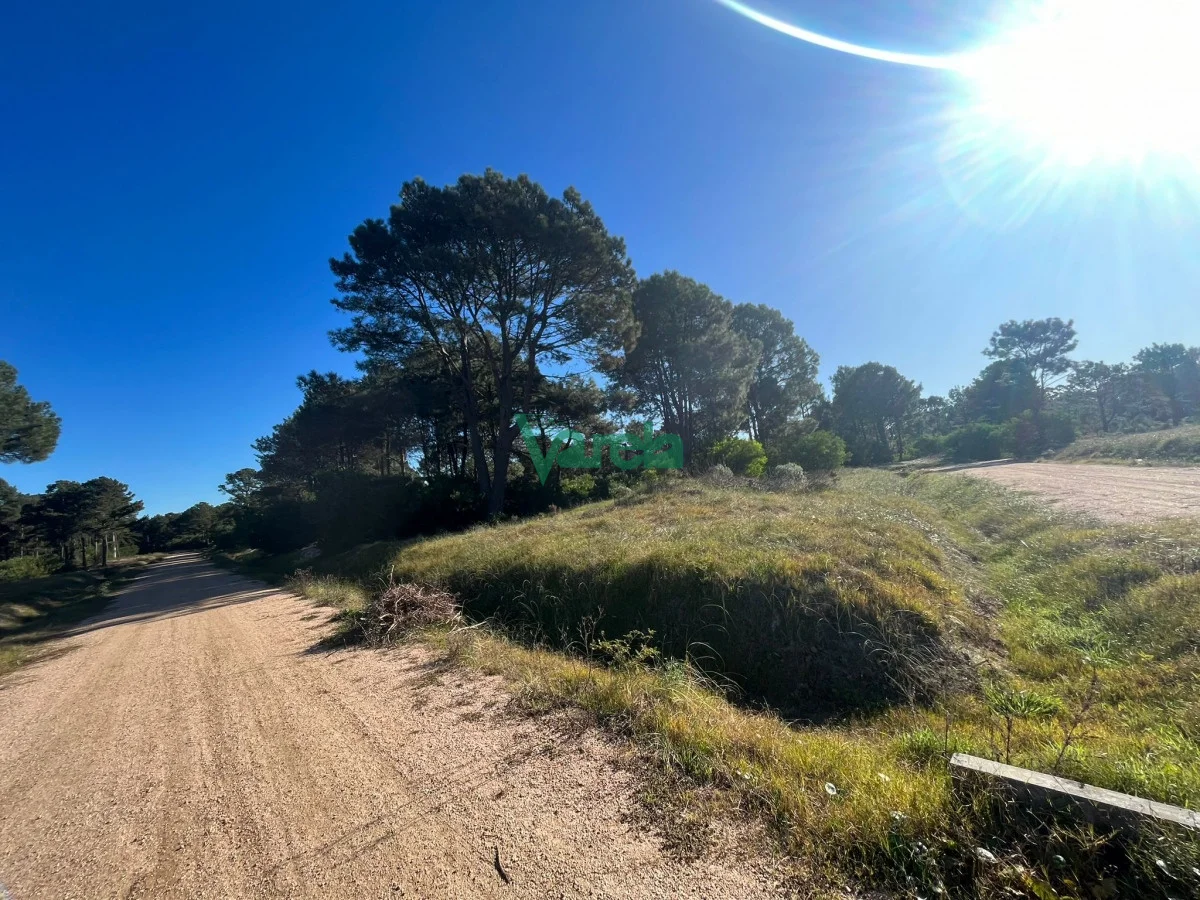 Terreno en Montes, propiedad 203832 -Imagen 10