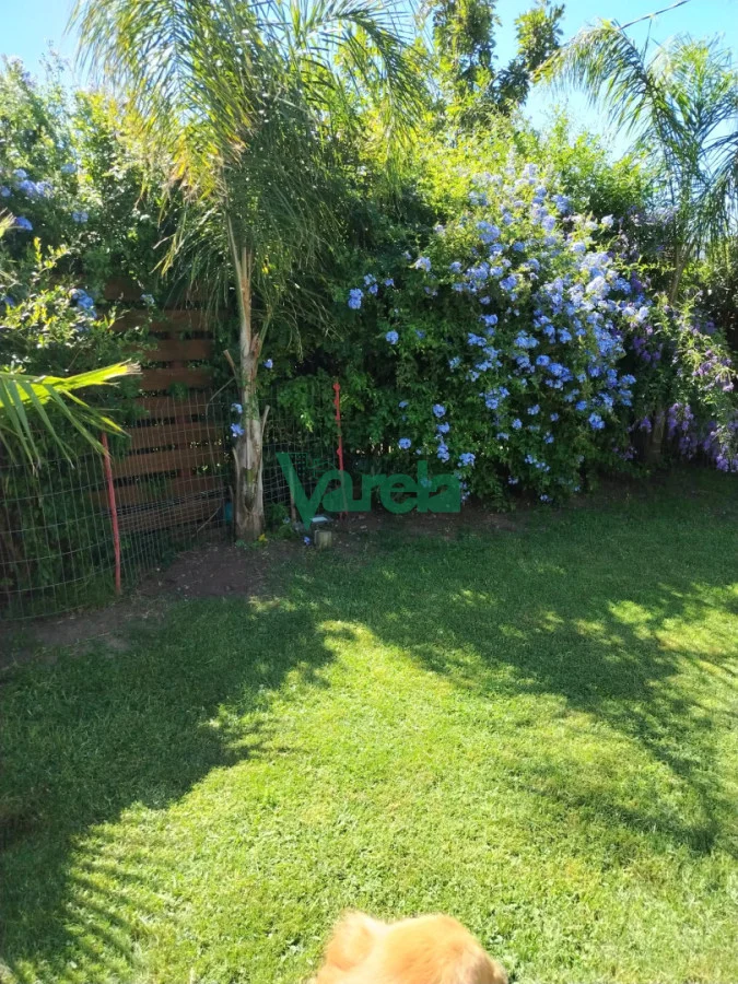 Casa en San Luis, propiedad 253944 -Imagen 16