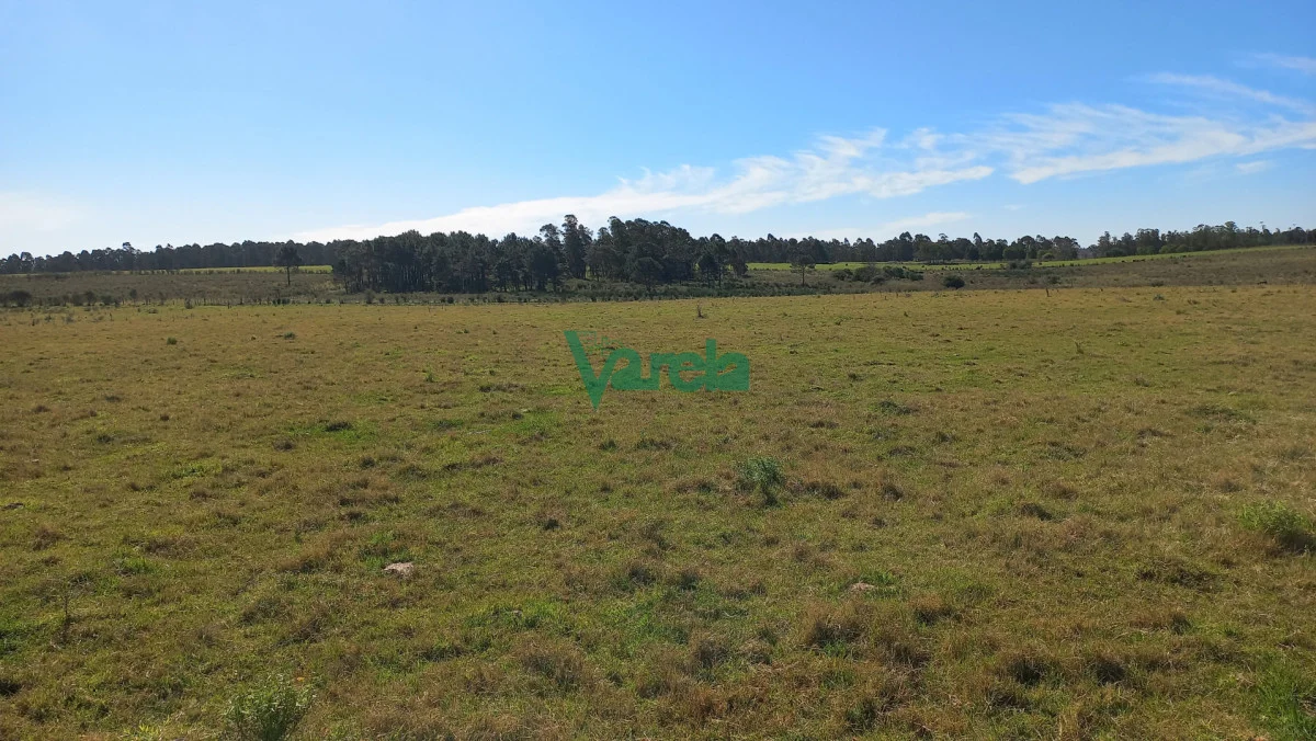 Chacra en Salinas, propiedad 300735 -Imagen 5