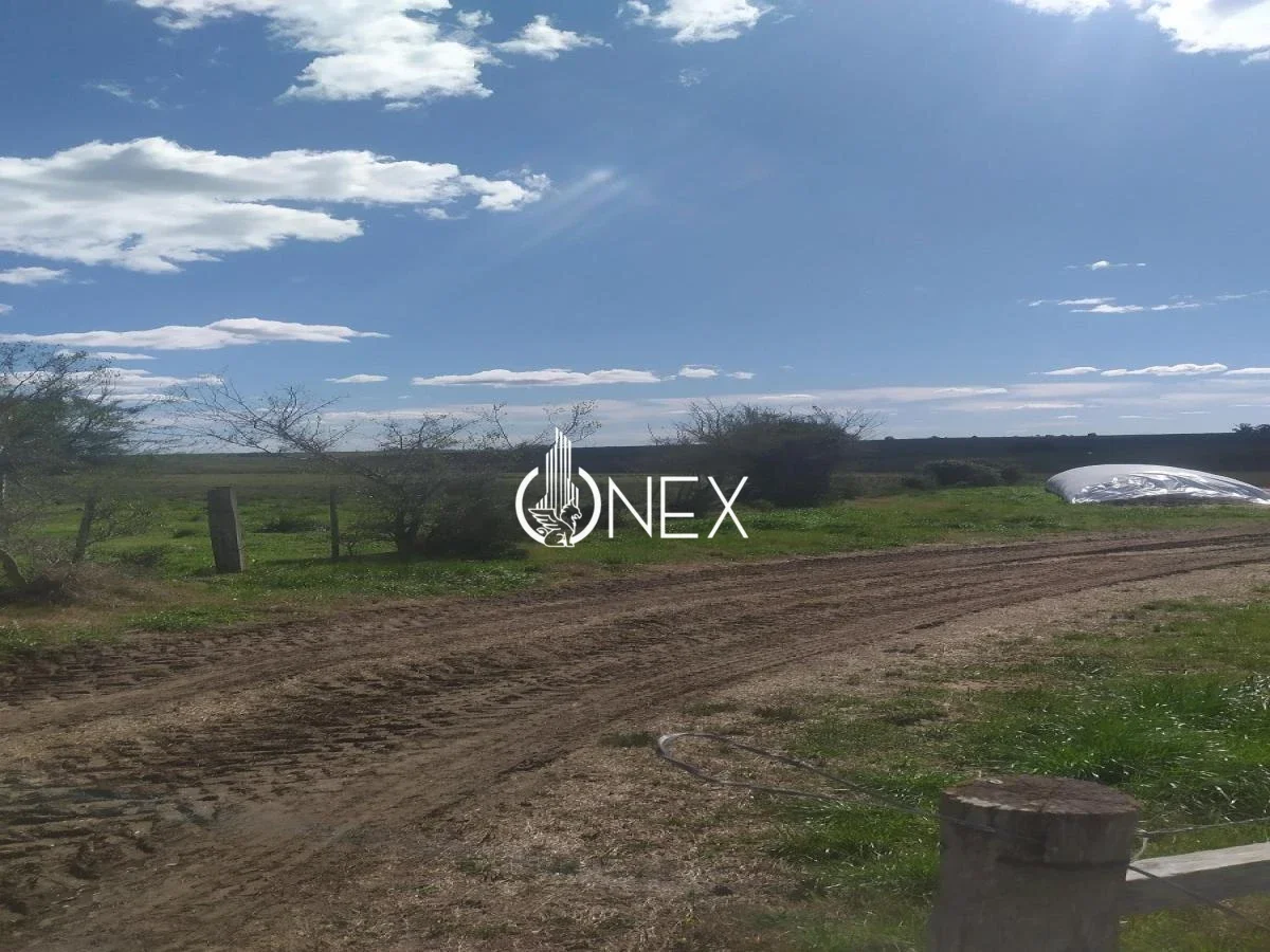 Chacra en San Jacinto, propiedad 116895 -Imagen 7