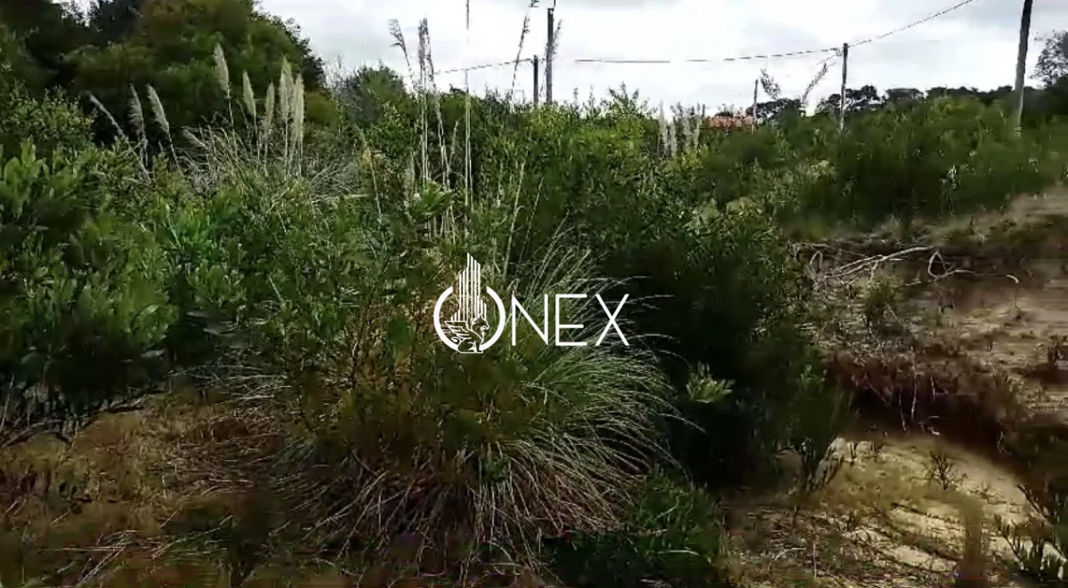 Terreno en Punta Rubia, propiedad 176631 -Imagen 3