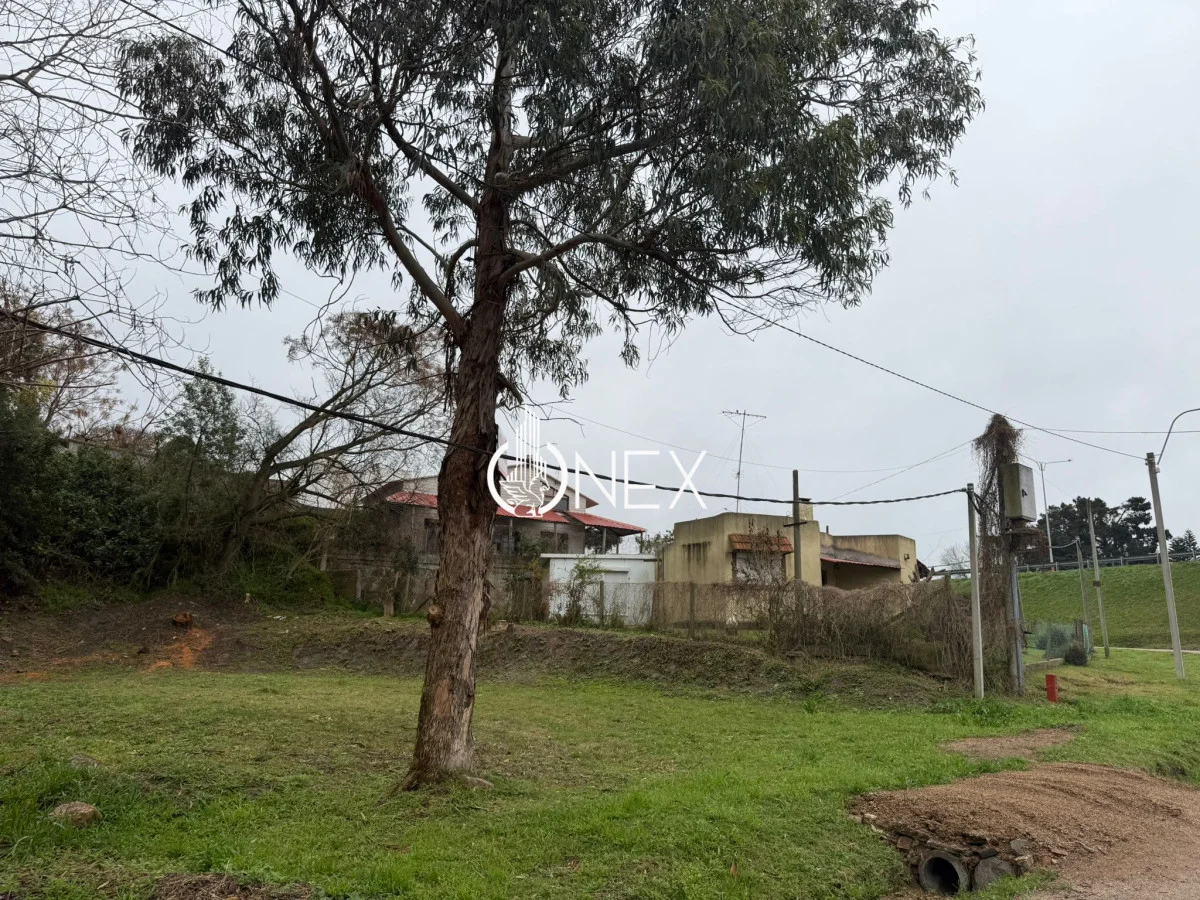 Terreno en Atlántida, propiedad 208405 -Imagen 2