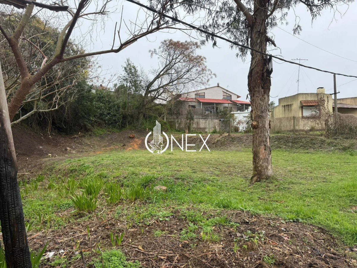 Terreno en Atlántida, propiedad 208405 -Imagen 3