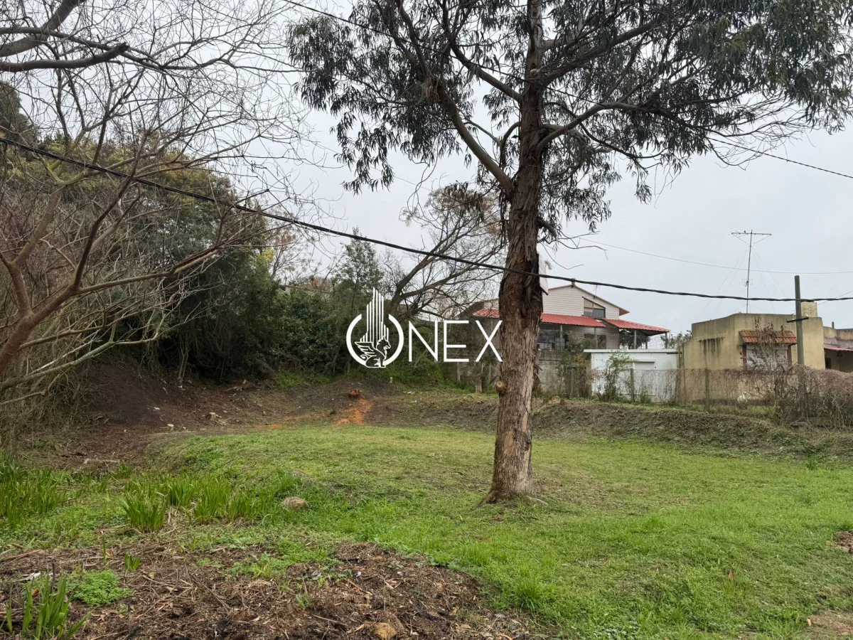 Terreno en Atlántida, propiedad 208405 -Imagen 4