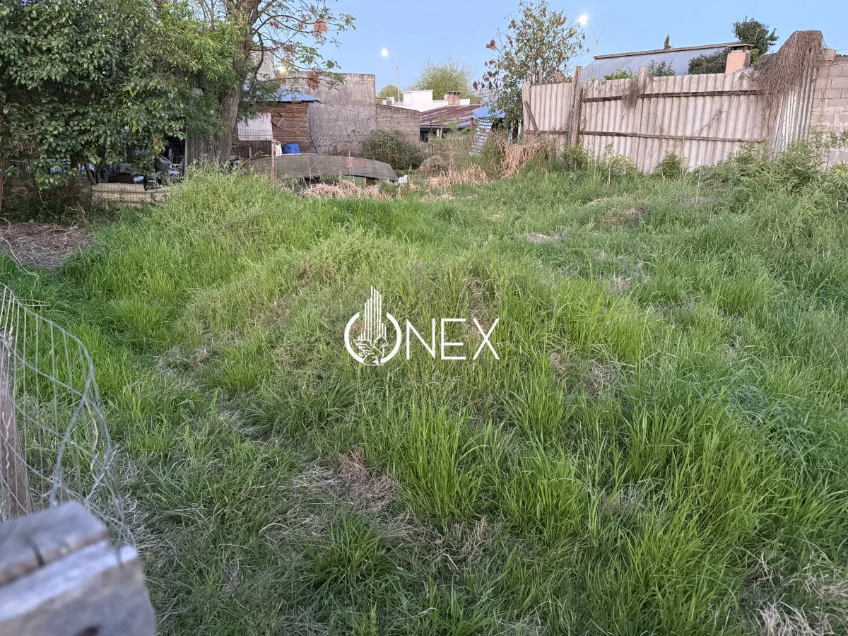 Terreno en Tacuarembó, propiedad 221213 -Imagen 1