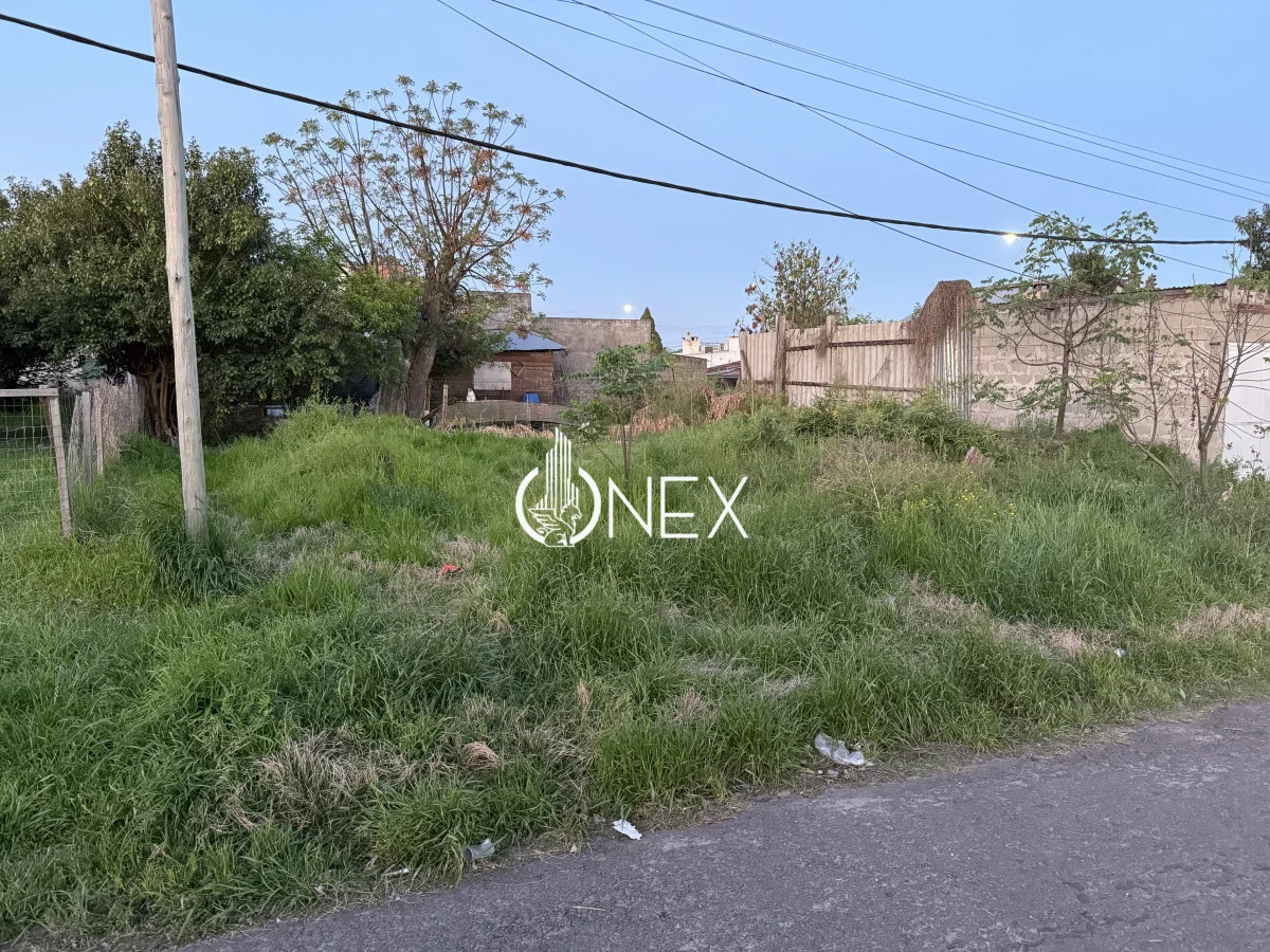 Terreno en Tacuarembó, propiedad 221213 -Imagen 2