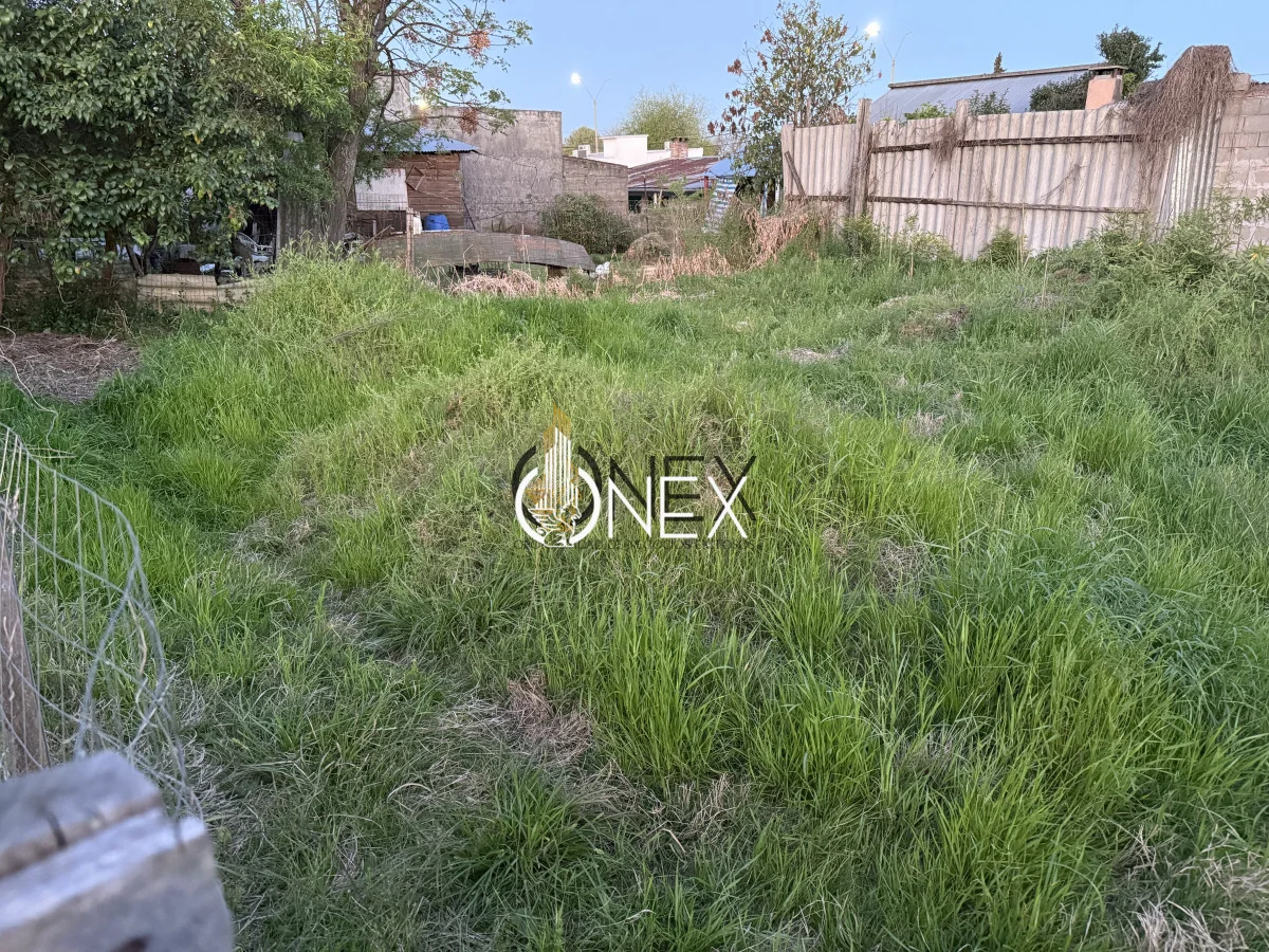 Terreno en Tacuarembó, propiedad 221213 -Imagen 3