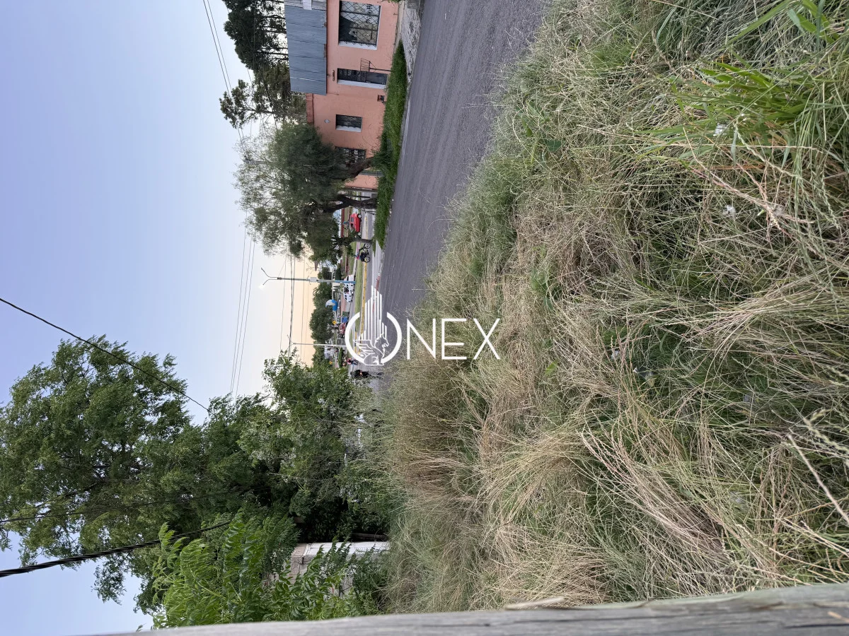 Terreno en Tacuarembó, propiedad 221213 -Imagen 4
