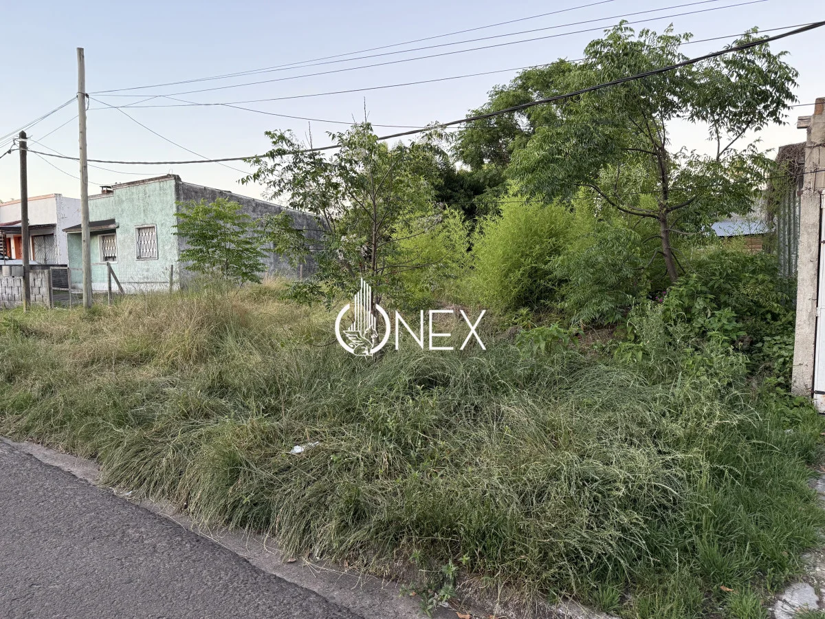 Terreno en Tacuarembó, propiedad 221213 -Imagen 5